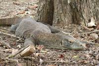 ... &ndash; &copy; Frank Nimschowski (Eberhardt TRAVEL)