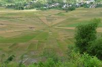 Spinnennetzreisefelder in Cancar, Flores &ndash; &copy; Frank Nimschowski (Eberhardt TRAVEL)