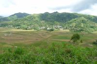 Spinnennetzreisefelder in Cancar, Flores &ndash; &copy; Frank Nimschowski (Eberhardt TRAVEL)