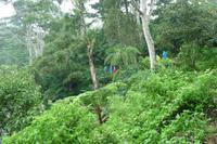 Renamese-See, Flores &ndash; &copy; Frank Nimschowski (Eberhardt TRAVEL)