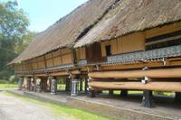 Rumah Bolong Langhaus