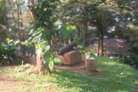 Fort Kock in Bukittinggi