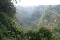 Blick in den Sianok-Canyon bei Bukittinggi