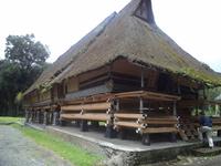 Das Langhaus des Königs