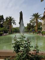 1005_Shiraz; Eram-Garten