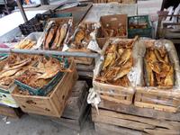 087-Iran_Bandar-e-Anzali