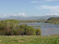 395-Iran_Zarrineh-Rud