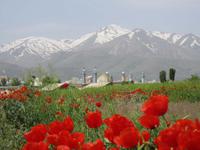 Dar Zagrosgebirge bei Hamadan