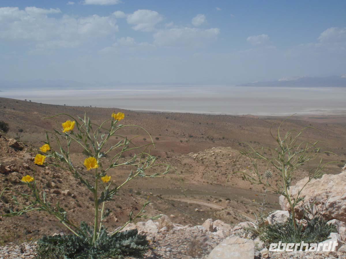 Blick auf den Bakhtegan Salzsee