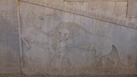 Persepolis, Kampf von Löwe und Stier