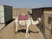 warten auf den Einsatz