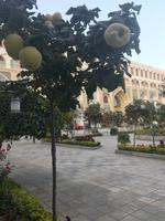 Isfahan - Abbasi Hotel