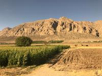 unterwegs nach Shiraz