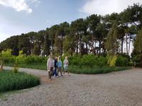 0619_Yazd; Dowlat-Abad Garten