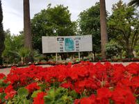 1001_Shiraz; Eram-Garten