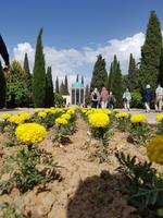 1035_Shiraz; Saadi Mausoleum