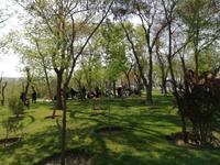 Entspannung im Goli-Park in Tabriz