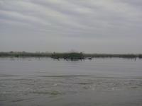 Bootsfahrt Lagunen-Sumpflandschaft Mordab