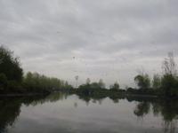 Bootsfahrt Lagunen-Sumpflandschaft Mordab