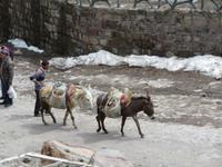 Lastentransport in Kandovan