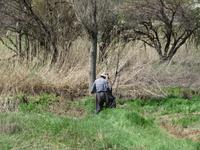 ein Bauer bei der Arbeit