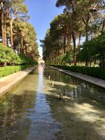 Yazd Dowlatabad-Garten