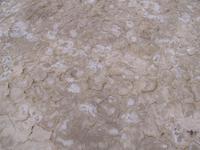 Daryackeh ye Bakhtegan- am Salzsee