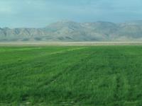 Landschaft vor Shiraz