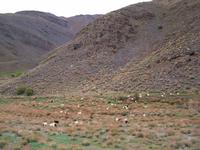 auf dem Weg in die Lut-Wüste