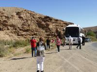 Kashan - Besuch des Fin- Gartens