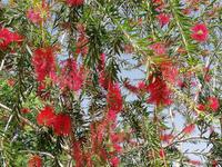 IMG_20180503_102429