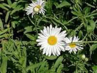 IMG_20180503_102928