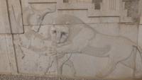 Persepolis