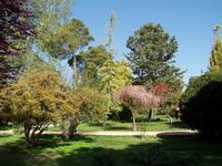 Shiraz- Eram-Garten