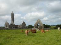 Ruinenstadt in Kilmadough 