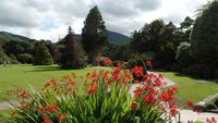 Muckross Park
