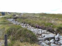 Ausgrabungsstätte Ceide Fields