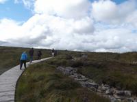 Ausgrabungsstätte Ceide Fields