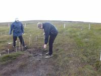 Ausgrabungsstätte Ceide Fields