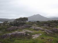 Ring of Beara