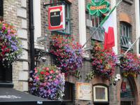 Temple Bar - nicht nur Blumen auf dem Glas...