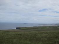 Steilküste bei Downpatrick Head