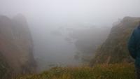 Nebel an der Küste Beara Halbinsel
