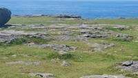 Am Burren 4