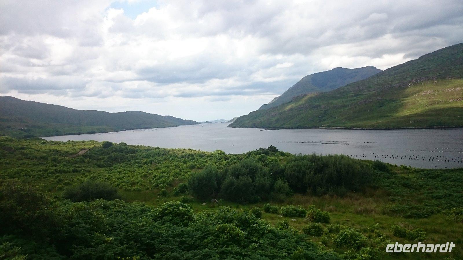 Fjord bei Leenane
