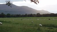 Abendstimmung in Killarney