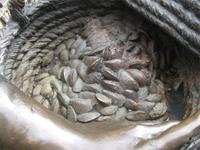 ...verkauft Muscheln