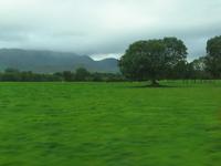 Fahrt um den Ring of Kerry