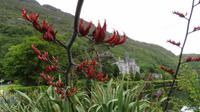 Kylemore Abbey 