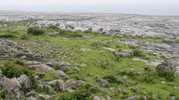 Burren